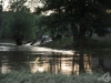 hochwasser-einsatz-gruna-2013-078