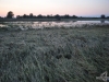 hochwasser-einsatz-gruna-2013-080