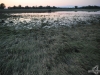 hochwasser-einsatz-gruna-2013-092